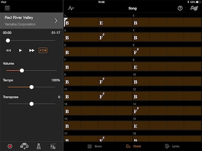 Play your favorite songs right away with the chord progression