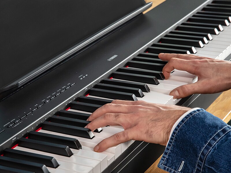 P-225 - Overview - P Series - Products - Pianos - Musical