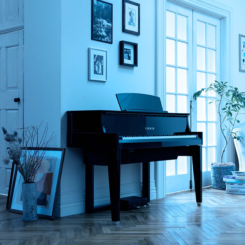 N1X - Overview - AvantGrand - Products - Pianos - Musical