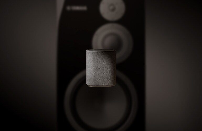 TRUE X SPEAKER 1A - Overview - Wireless Speakers - Products - Home