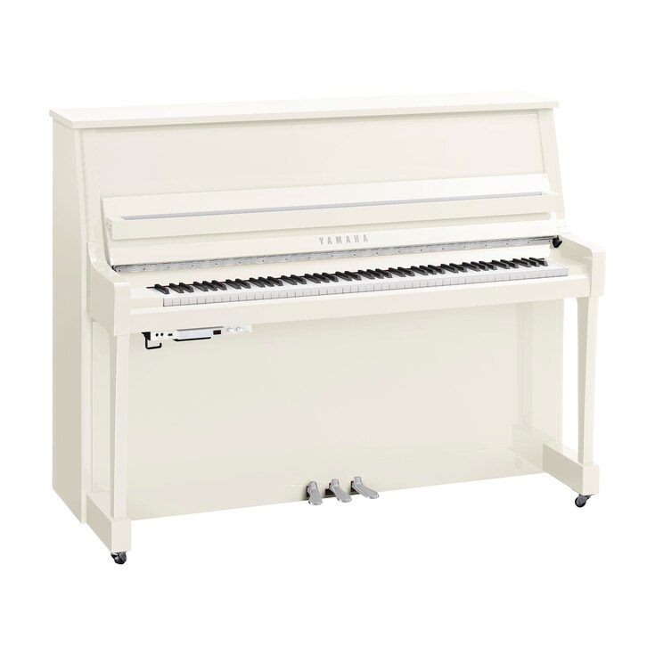 Product image of B20TC3 (Polished White Chrome)