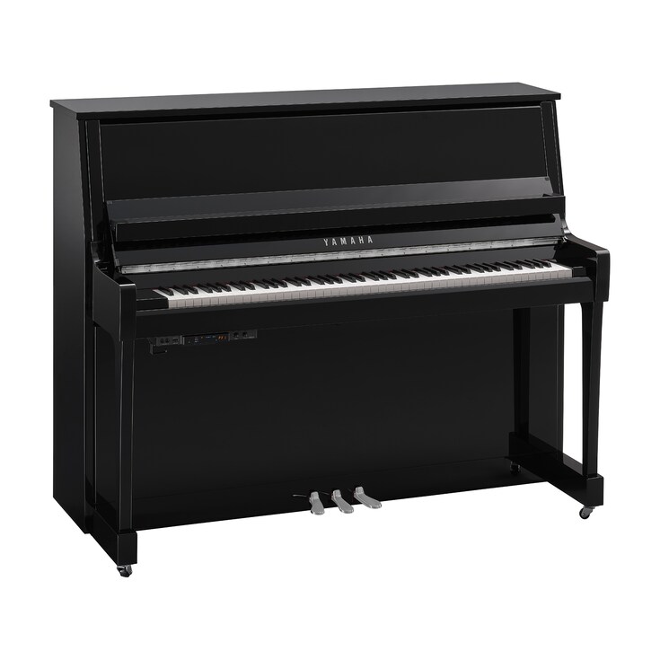 Product image of B30TC3 (Polished Ebony Chrome)