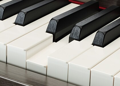 CLP-665GP - Overview - Clavinova - Products - Pianos - Musical
