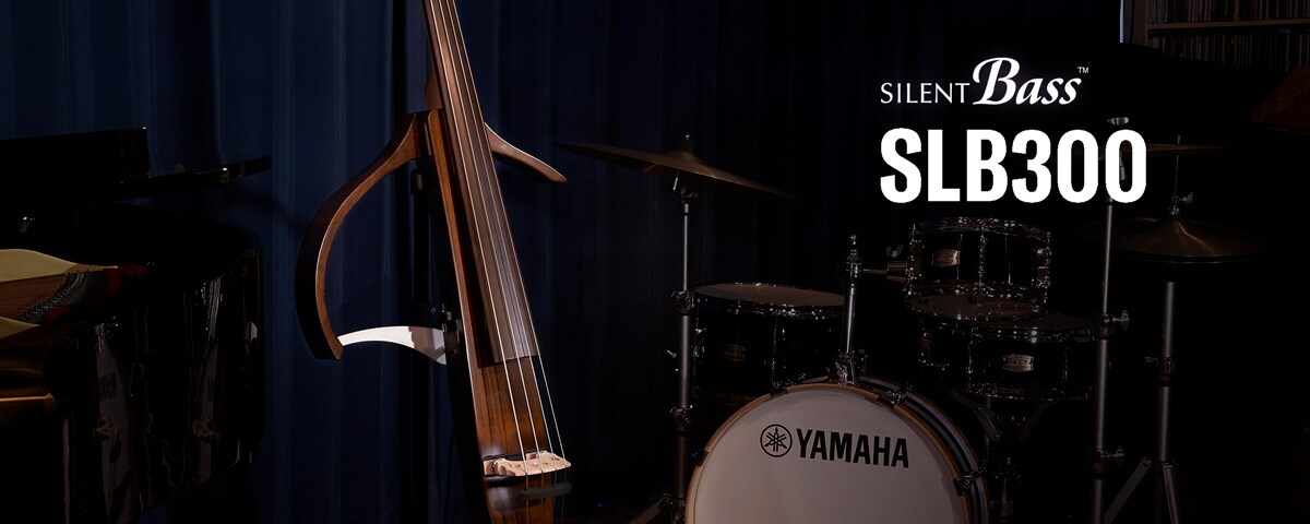 SLB300/SLB300PRO - Overview - SILENT™ SERIES - Products - Strings