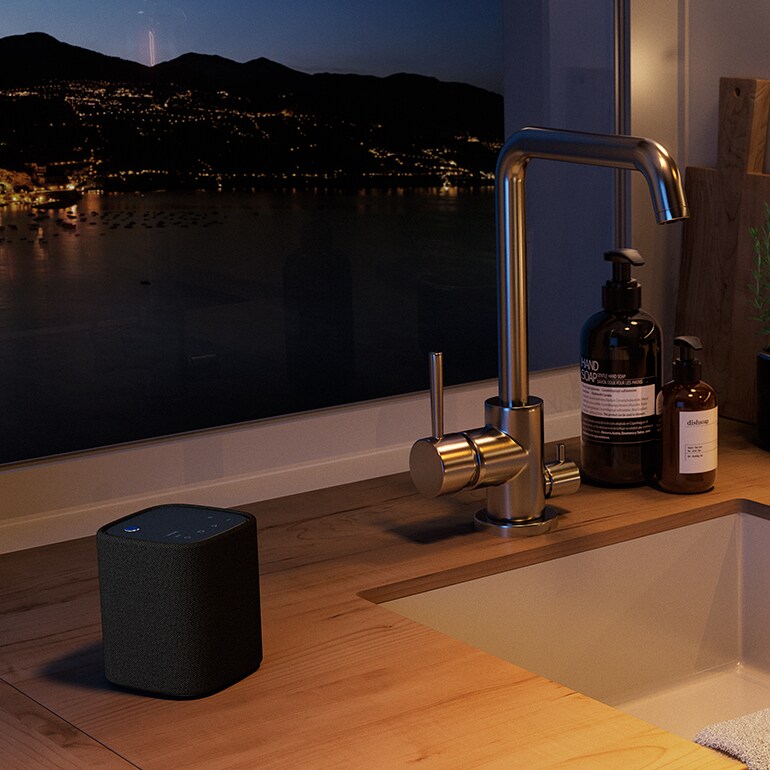 TRUE X SPEAKER 1A - Overview - Wireless Speakers - Products - Home