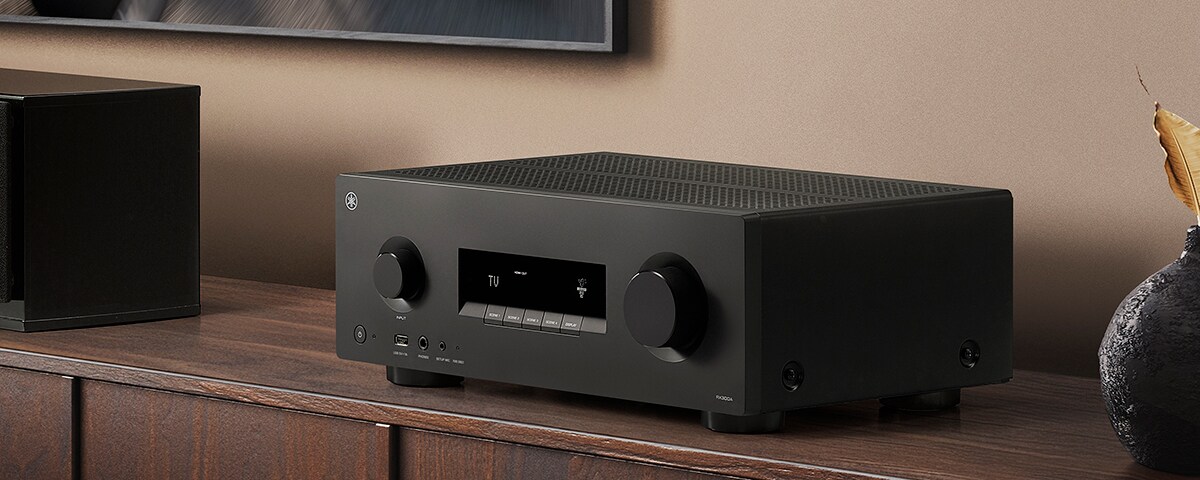 The RX300A placed on a brown shelf.