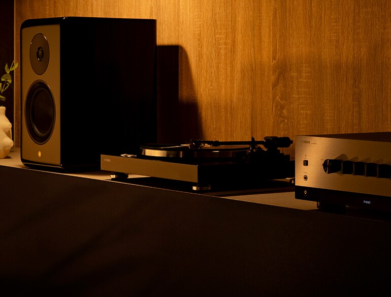 DISCOVER TRUE SOUND WITH VINYL