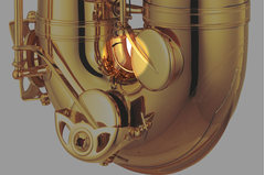 Reinforcing Plate attached to the Bow