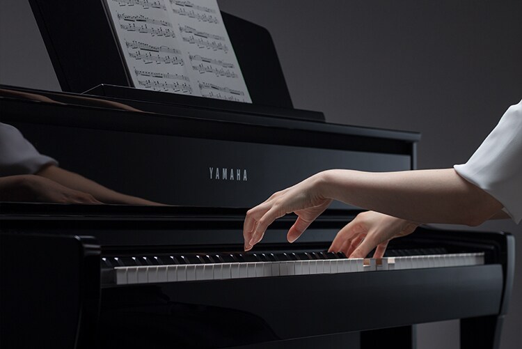 CLP-785 - Overview - Clavinova - Products - Pianos - Musical