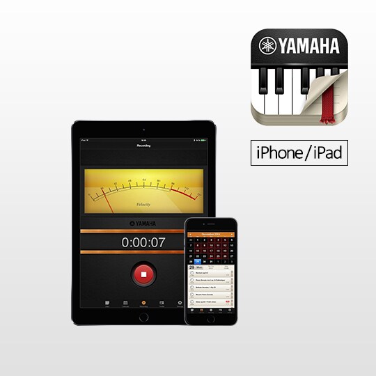 YDP-142 - Overview - ARIUS - Products - Pianos - Musical