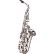 Yamaha Saxophone YAS-875EXS
